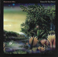 Tango In The Night - Fleetwood Mac (-) (Used)