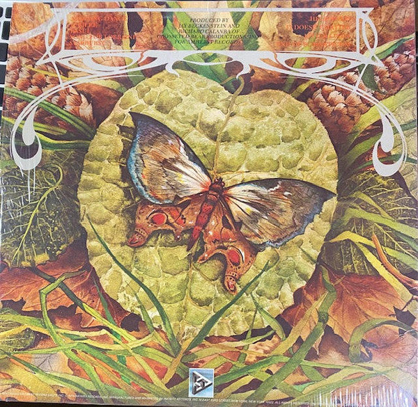 Morning Dance - Spyro Gyra (1979) (Used)