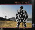 Delicate Sound Of Thunder - Pink Floyd (1988) (Used)