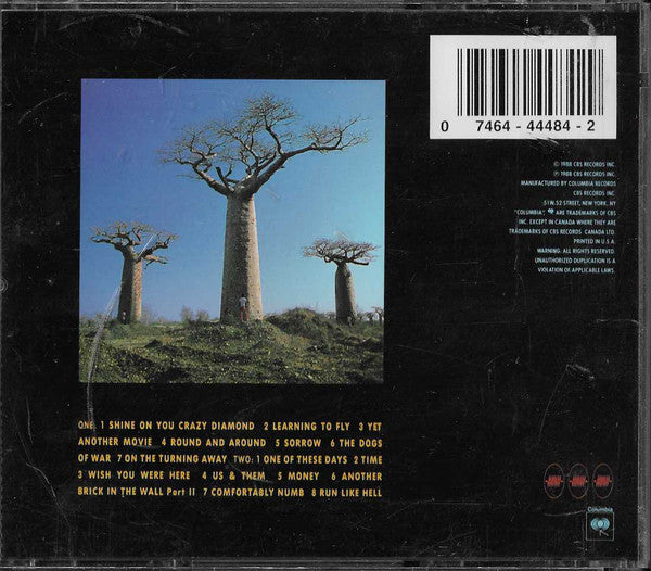 Delicate Sound Of Thunder - Pink Floyd (1988) (Used)
