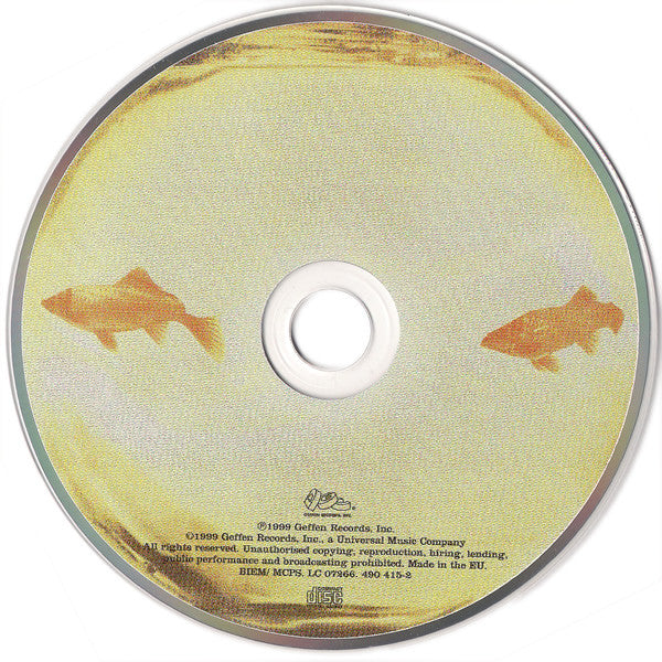 This Desert Life - Counting Crows (1999) (Used)