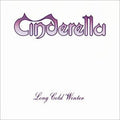 Long Cold Winter - Cinderella (1988) (Used)